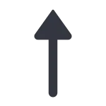 Arrow Top Long SVG Icon